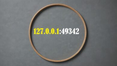 127.0.0.1:49342