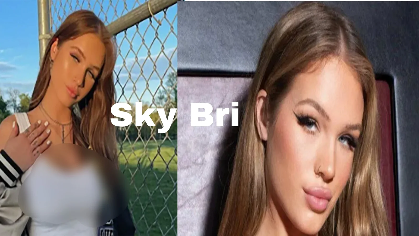 Sky Bri Net Worth